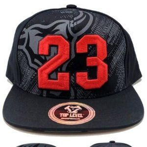 Chicago Top Level Legend 23 Longhorn Snapback Hat